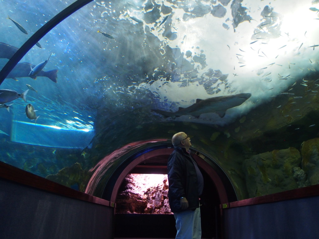 Acuario de Donosti.