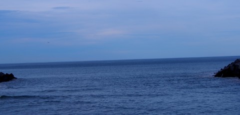 Moby Dick