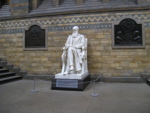 Estatua de Darwin en el Museo Británico.