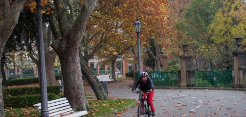 Ladrón de bicicletas