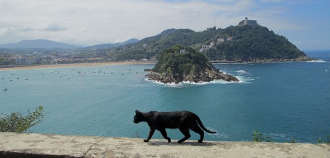 Gatos y ratones