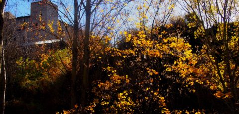 Maestros disidentes I. George Orwell