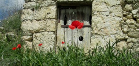 El alcalde de Valtierra y otros síntomas aciagos