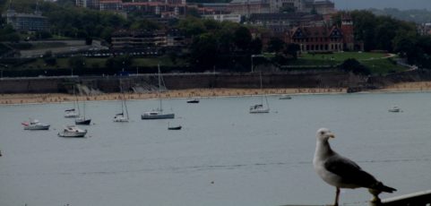 Disculpen