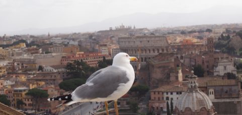 El guardián de los porcentajes