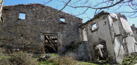 Bombas y bichitos inocuos