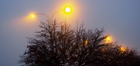 La diosa de la sabiduría y los culos de mal asiento