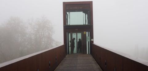 En la niebla