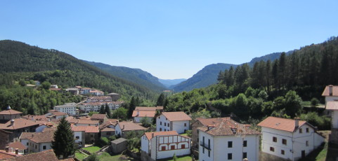 Ante las cenizas
