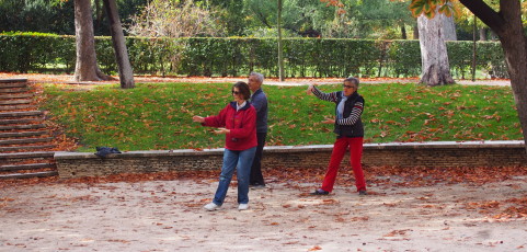Fiesta nacional