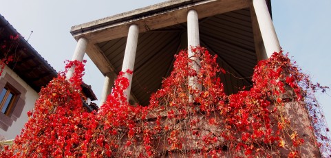 El jardín de las delicias