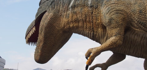El dinosaurio