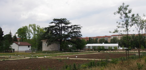 Mil latigazos