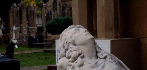 Cenizas