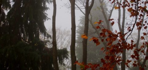 Meditaciones en el frío