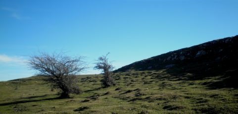 Un nacionalsocialista privado