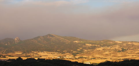 Caperucita roja