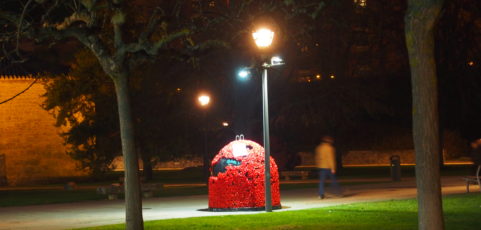 El compañero