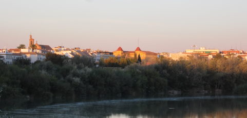 El débil pulso del día