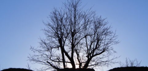 Fábula del tiempo