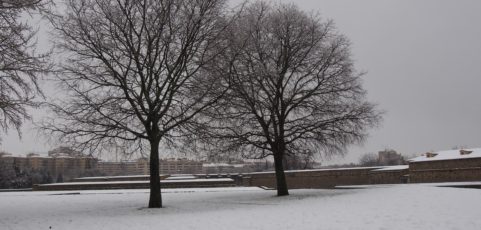 La nieve esponjosa y plácida