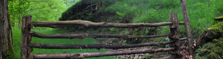 Los papeles del pasado