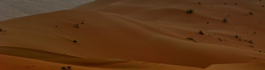 Dones y dunas del desierto